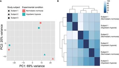 Transcriptomic Changes in Young Japanese Males After Exposure to Acute Hypobaric Hypoxia